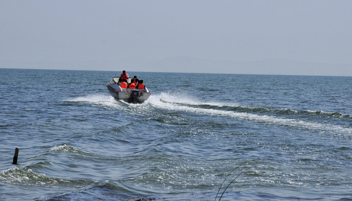 _DSC6774.jpg