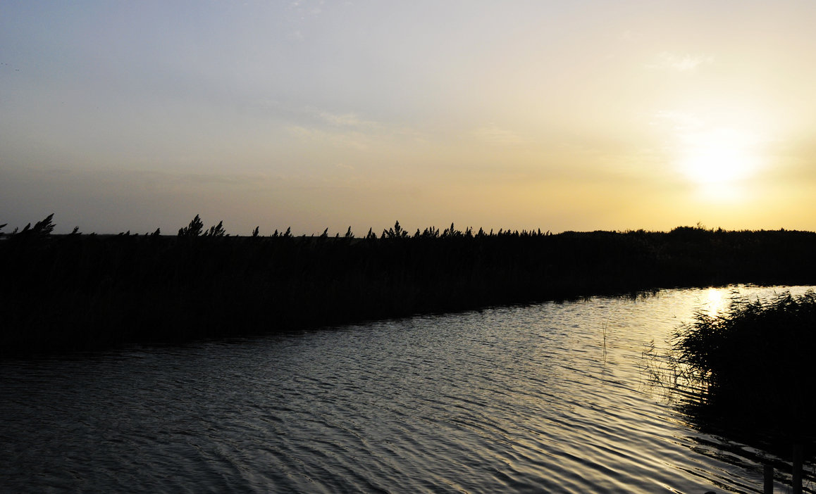_DSC6803.jpg