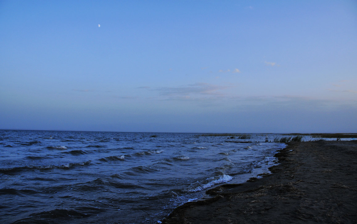 _DSC6854.jpg