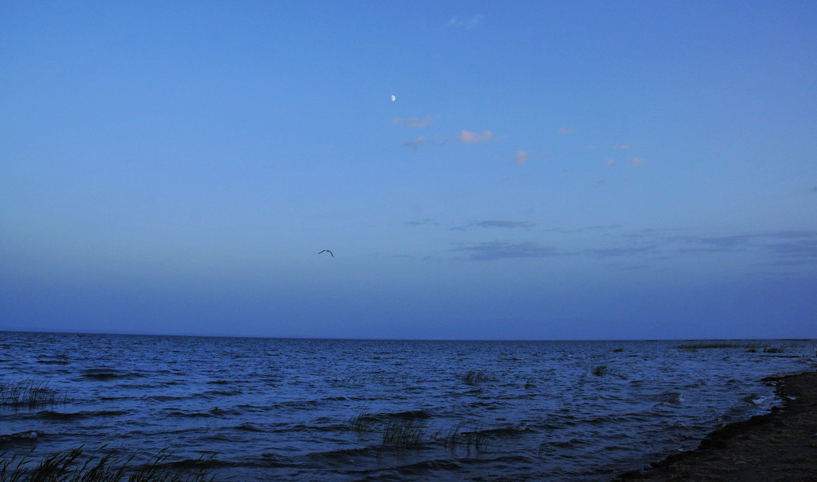 _DSC6885.jpg