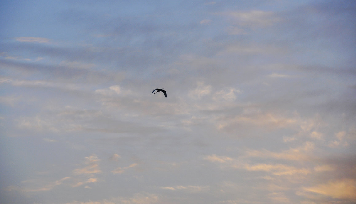 _DSC6935.jpg