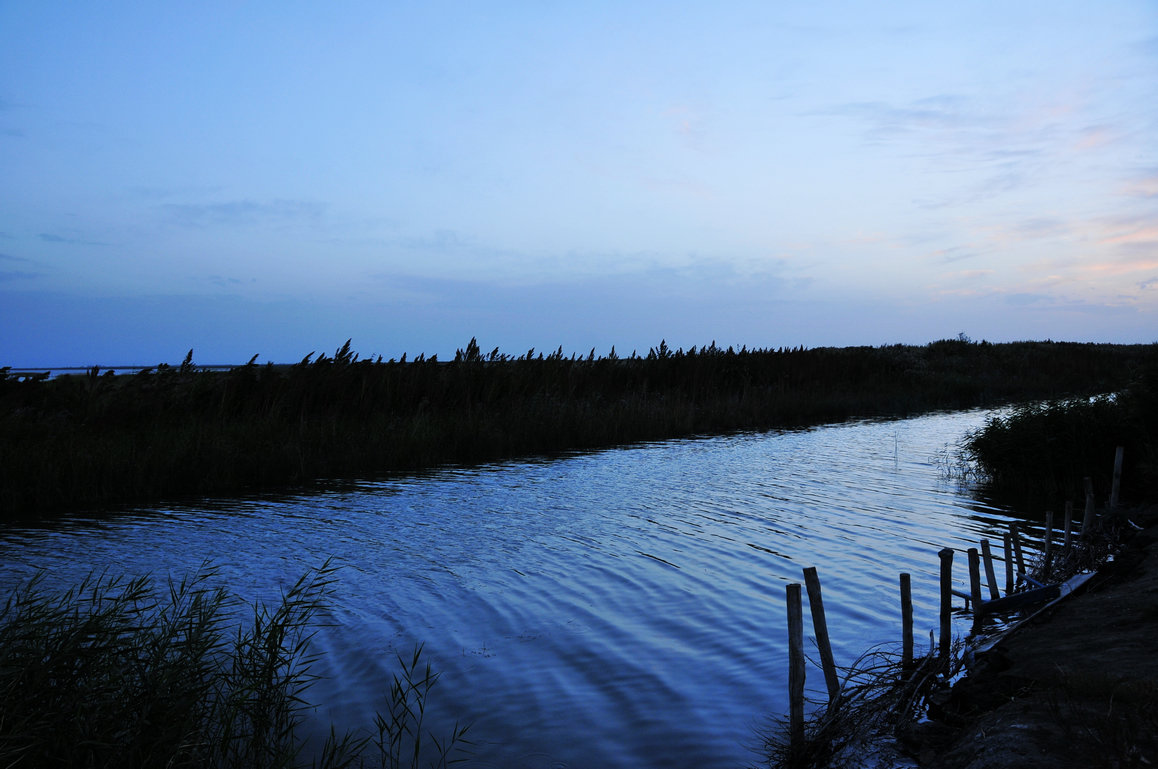 _DSC6956.jpg