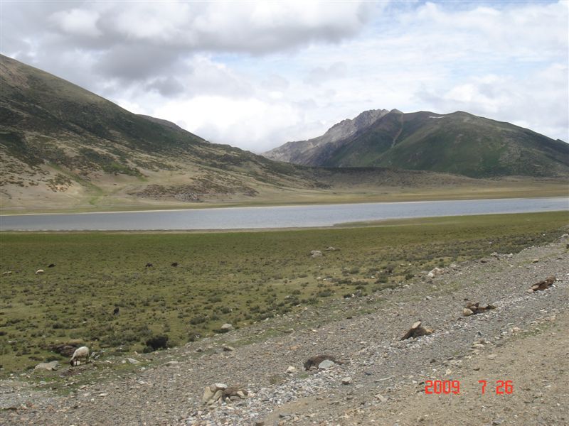 DSC08091.JPG