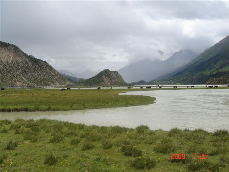 DSC08102.JPG