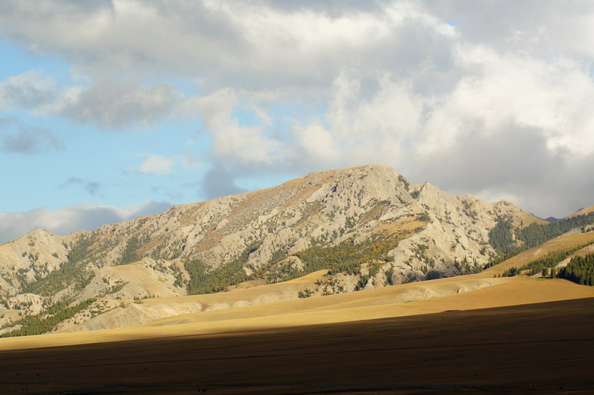 DSC09227.JPG
