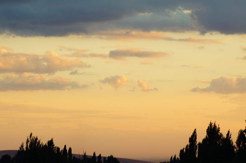 DSC09284.JPG