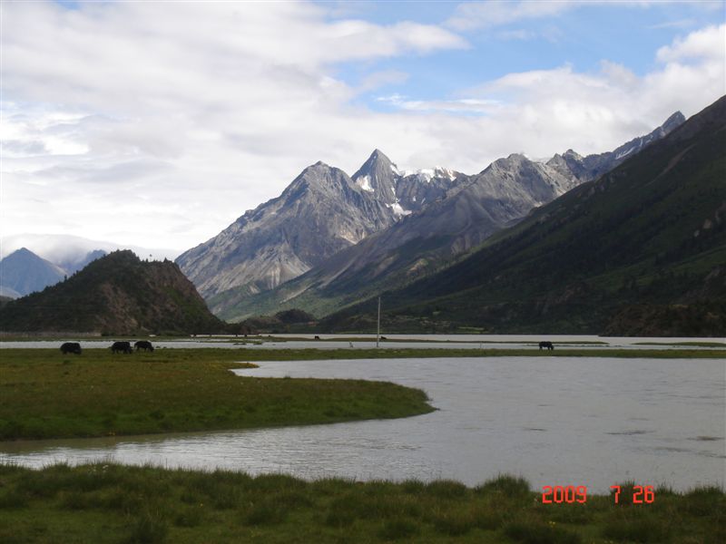 DSC08215.JPG