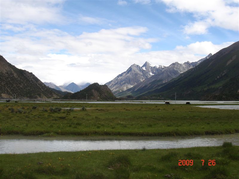 DSC08217.JPG
