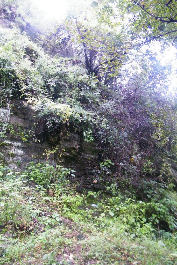 DSCF0031.JPG