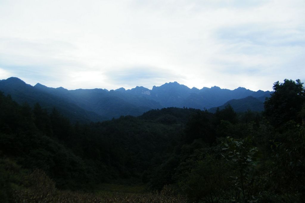 DSCF0047.JPG