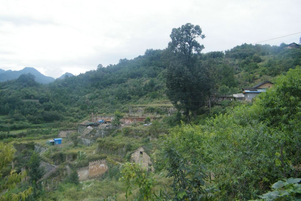 DSCF0085.JPG